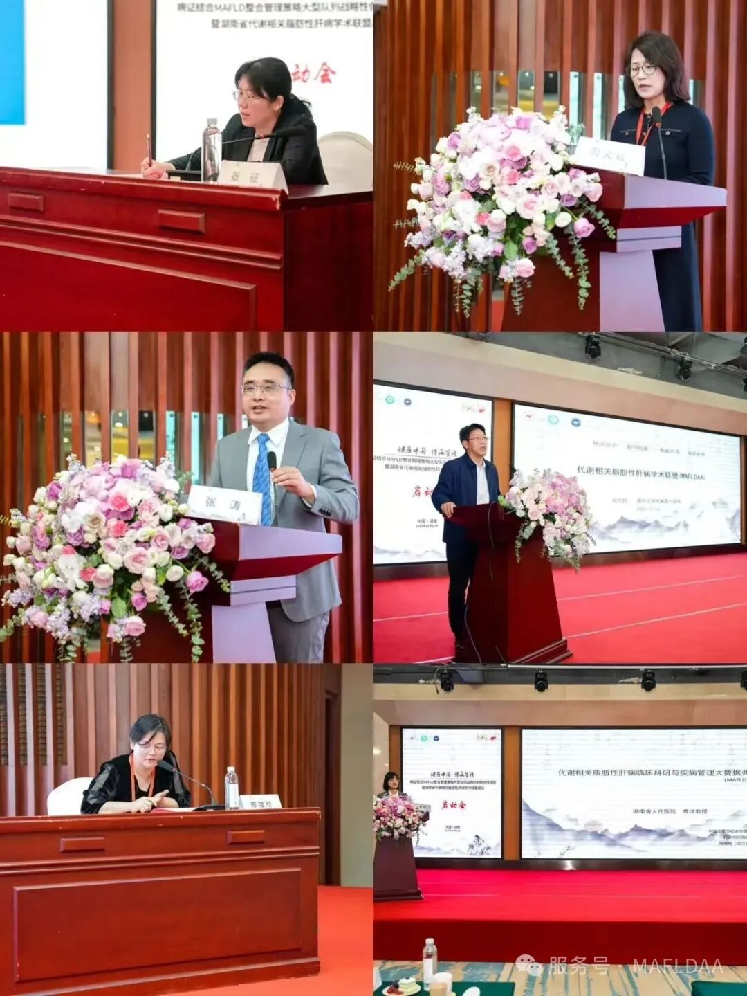 会议速递｜湖南省代谢相关脂肪性肝病学术联盟成立暨《病证结合MAFLD全国多中心注册登记研究》启动会圆满召开